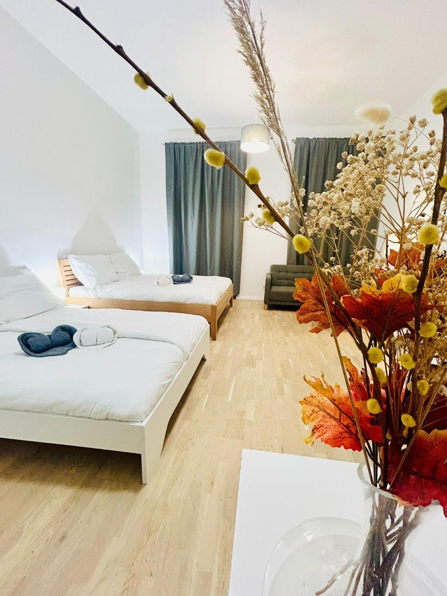New Design & Style Apartments 50M From Wenceslas Square プラハ エクステリア 写真