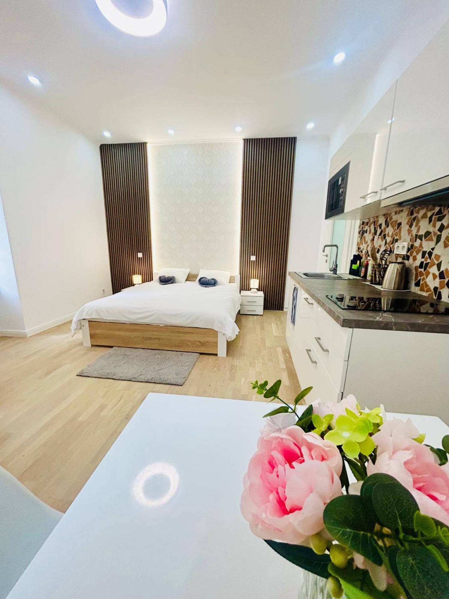 New Design & Style Apartments 50M From Wenceslas Square プラハ エクステリア 写真