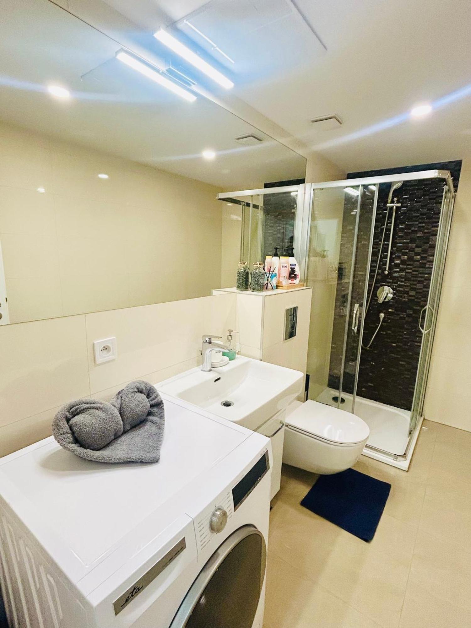 New Design & Style Apartments 50M From Wenceslas Square プラハ エクステリア 写真